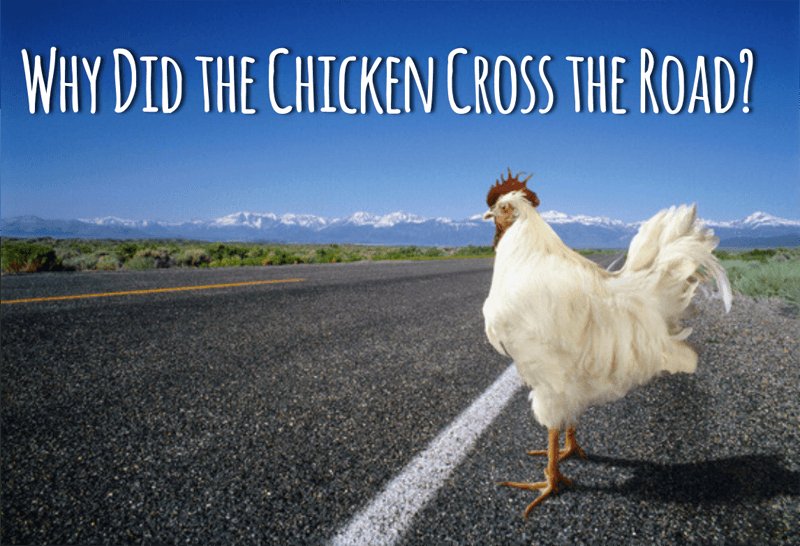 Introduction to chicken road españa